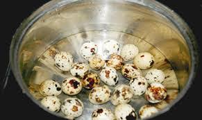 Cách làm Gà kho trứng cút ngon.