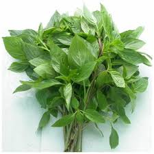 Cách làm Thịt bò xào húng quế ngon.