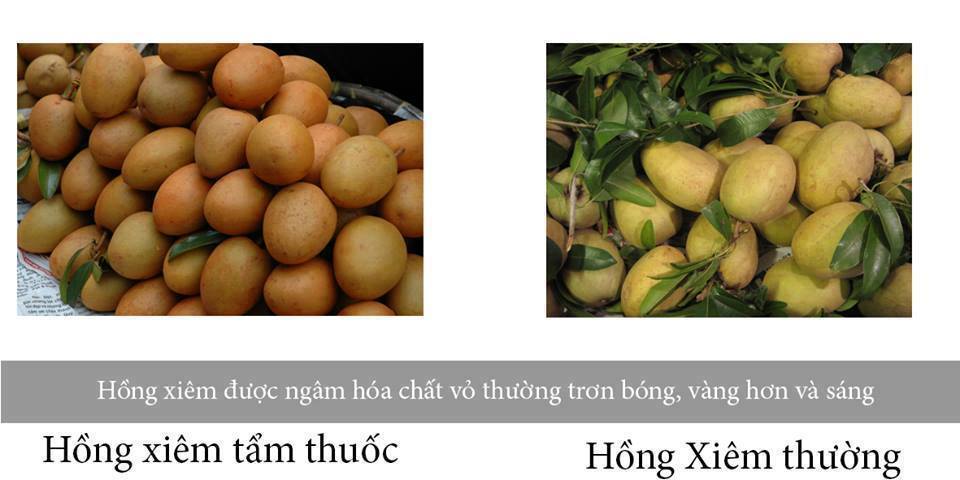Cách phân biệt rau quả an toàn và độc hại từ Trung Quốc 19