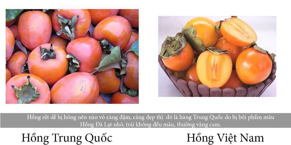 Cách phân biệt rau quả an toàn và độc hại từ Trung Quốc 20