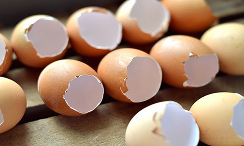 LàmThịt đông trong vỏ trứng tại nhà.