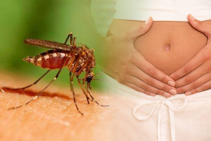 Tìm hiểu Bệnh sốt xuất huyết ở trẻ em và cách phòng bệnh sốt xuất huyết cho trẻ mới nhất.