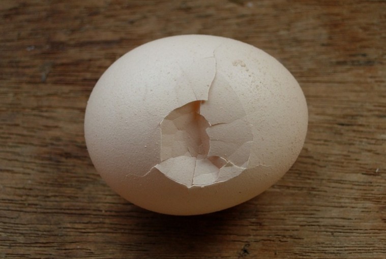 Tìm hiểu Top 10 mẹo vặt hay với trứng mới nhất.