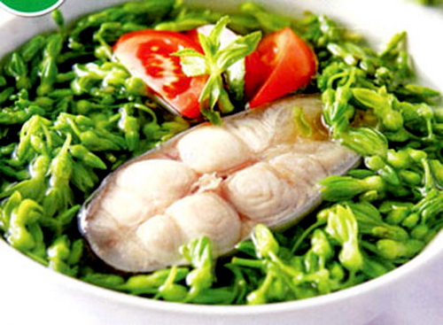 Hướng dẫn cách làm 10 món ăn ngon từ cá Điêu hồng có chữa bệnh ngon.